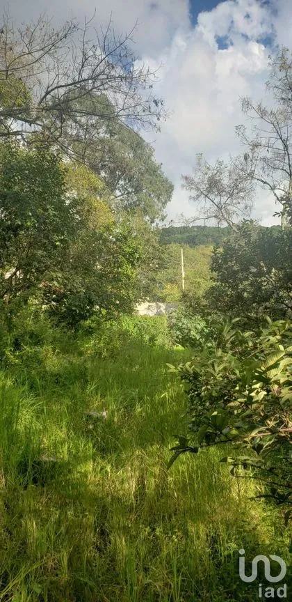 Terreno en Venta en Valle de Bravo, Valle de Bravo, Estado De México | NEX-228845 | iad México | Foto 8 de 9