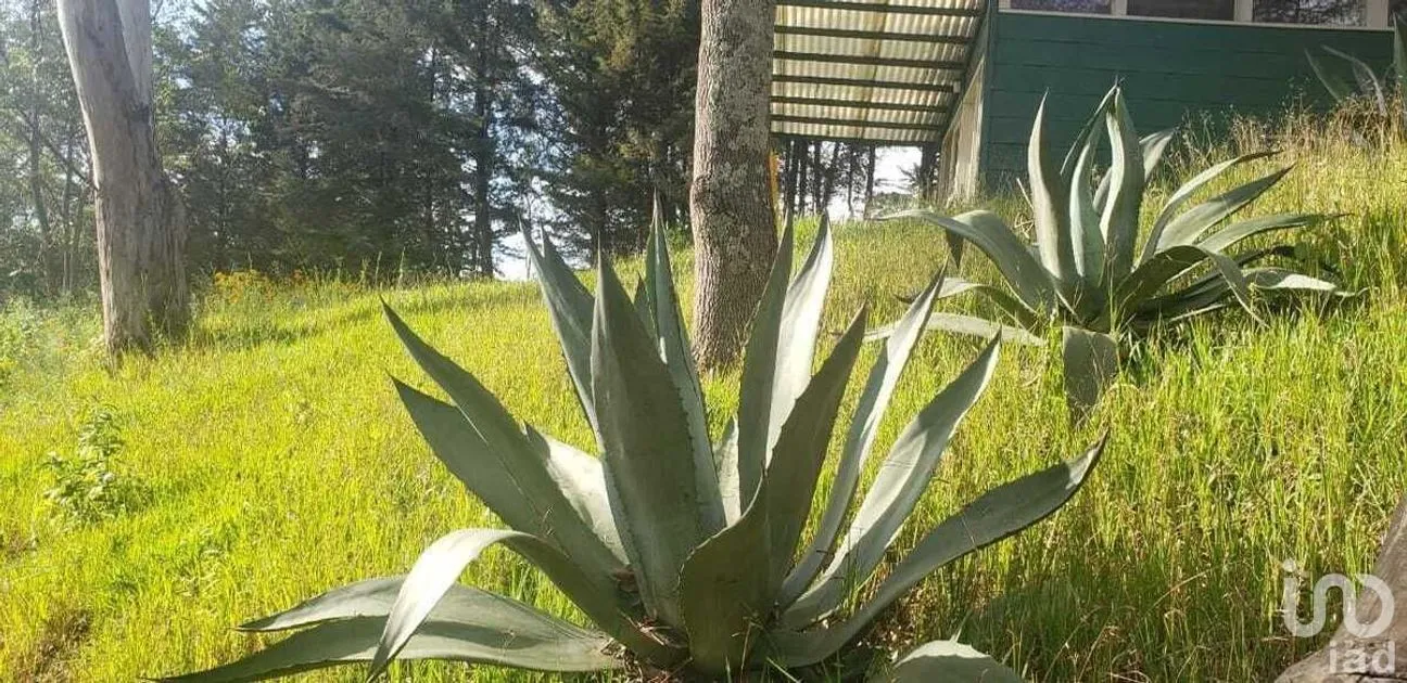 Terreno en Venta en Valle de Bravo, Valle de Bravo, Estado De México | NEX-228845 | iad México | Foto 1 de 9