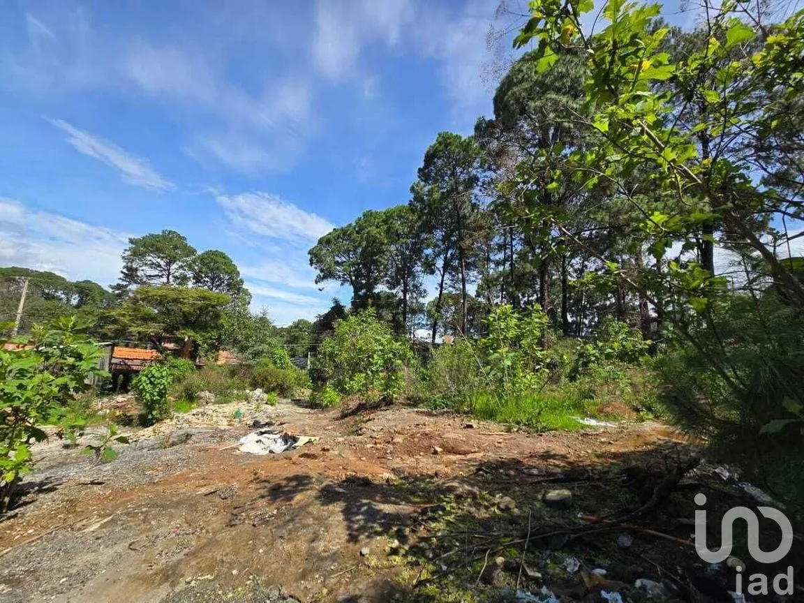Terreno en Venta en Avándaro, Valle de Bravo, Estado De México | NEX-228846 | iad México | Foto 3 de 12