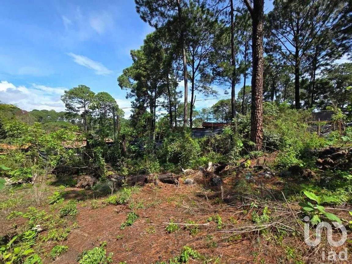Terreno en Venta en Avándaro, Valle de Bravo, Estado De México | NEX-228846 | iad México | Foto 4 de 12