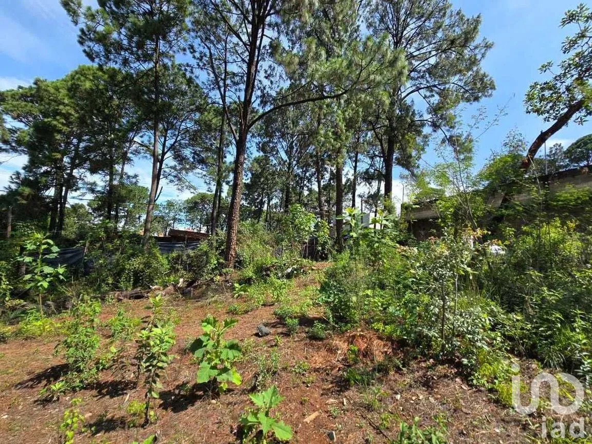 Terreno en Venta en Avándaro, Valle de Bravo, Estado De México | NEX-228846 | iad México | Foto 6 de 12
