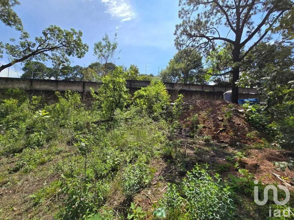 Terreno en Venta en Avándaro, Valle de Bravo, Estado De México | NEX-228846 | iad México | Foto 7 de 12