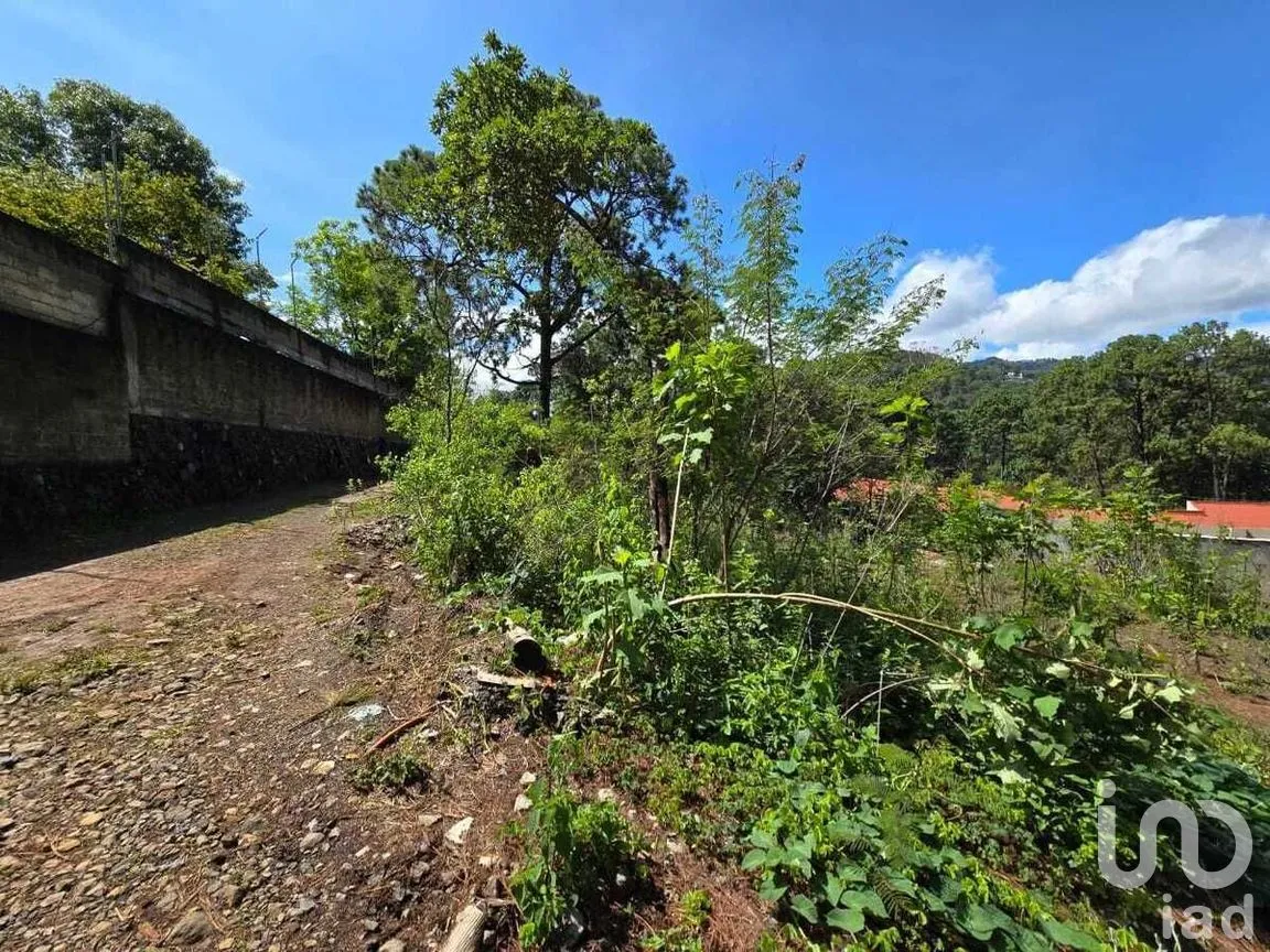 Terreno en Venta en Avándaro, Valle de Bravo, Estado De México | NEX-228846 | iad México | Foto 8 de 12