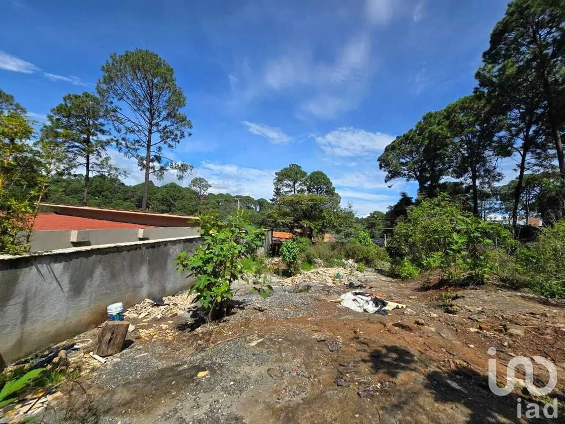 Terreno en Venta en Avándaro, Valle de Bravo, Estado De México | NEX-228846 | iad México | Foto 9 de 12