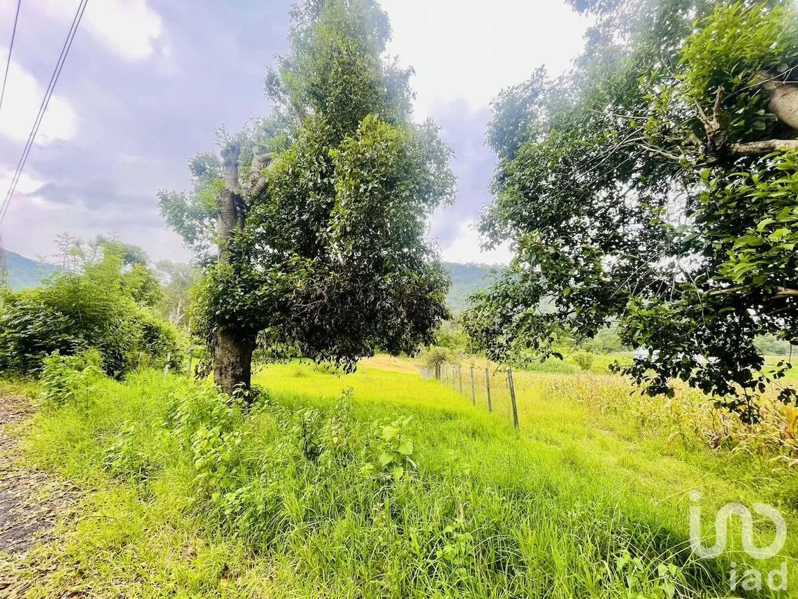 Terreno en Venta en Santa Magdalena Tilostoc, Valle de Bravo, Estado De México | NEX-230235 | iad México | Foto 12 de 13