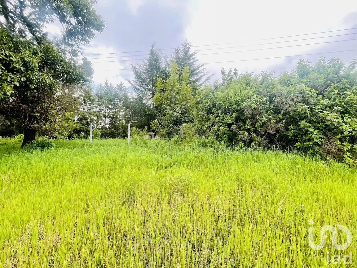 Terreno en Venta en Santa Magdalena Tilostoc, Valle de Bravo, Estado De México | NEX-230235 | iad México | Foto 6 de 13