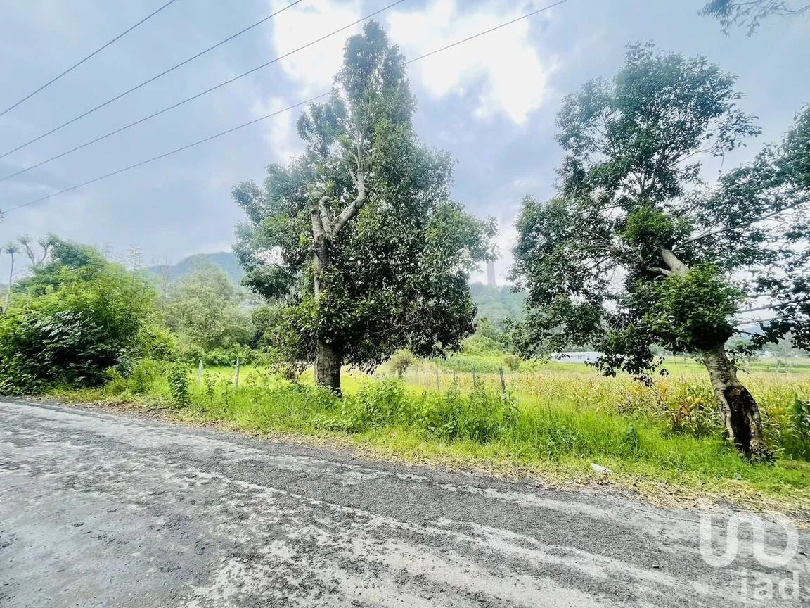 Terreno en Venta en Santa Magdalena Tilostoc, Valle de Bravo, Estado De México | NEX-230235 | iad México | Foto 10 de 13