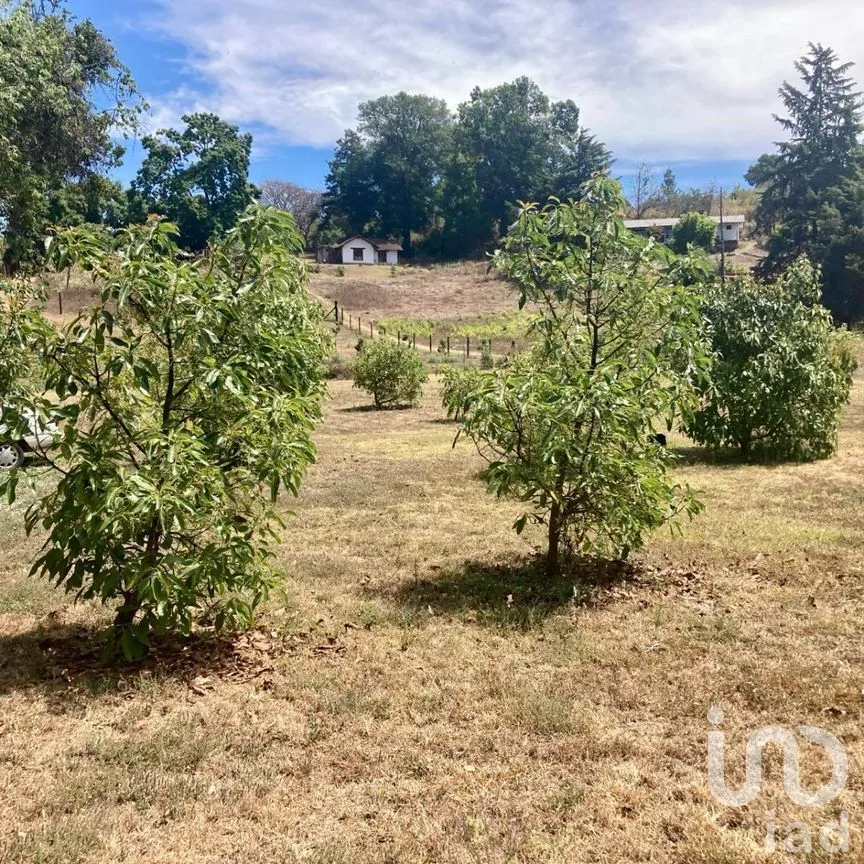 Terreno en Venta en San Juan Atezcapan, Valle de Bravo, Estado De México | NEX-230258 | iad México | Foto 2 de 6