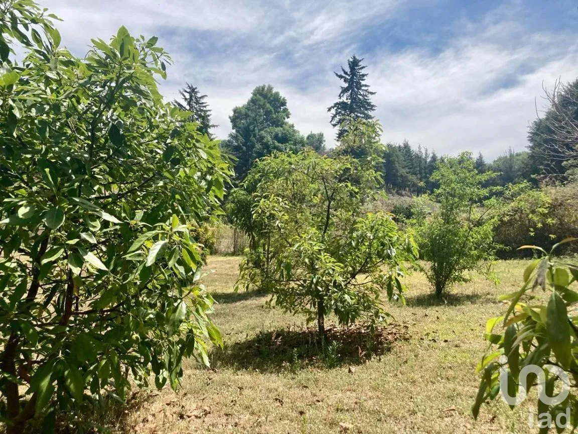 Terreno en Venta en San Juan Atezcapan, Valle de Bravo, Estado De México | NEX-230258 | iad México | Foto 3 de 6