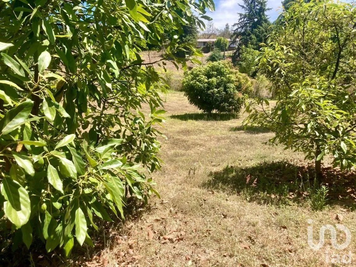 Terreno en Venta en San Juan Atezcapan, Valle de Bravo, Estado De México | NEX-230258 | iad México | Foto 4 de 6