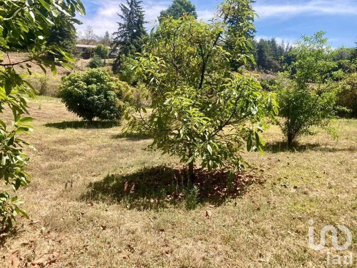 Terreno en Venta en San Juan Atezcapan, Valle de Bravo, Estado De México | NEX-230258 | iad México | Foto 5 de 6