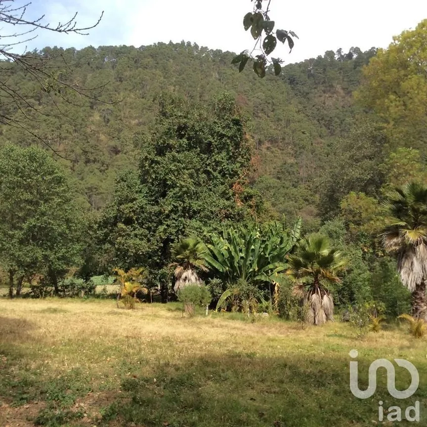 Terreno en Venta en Pipioltepec, Valle de Bravo, Estado De México | NEX-230278 | iad México | Foto 2 de 18