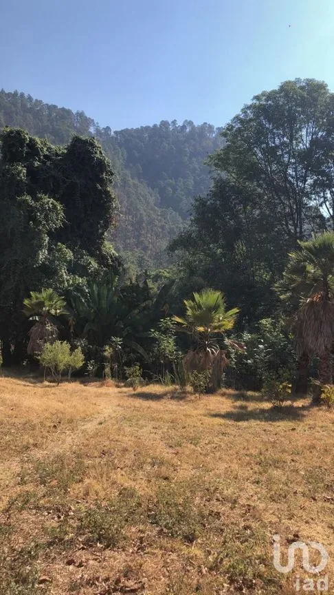Terreno en Venta en Pipioltepec, Valle de Bravo, Estado De México | NEX-230278 | iad México | Foto 11 de 18