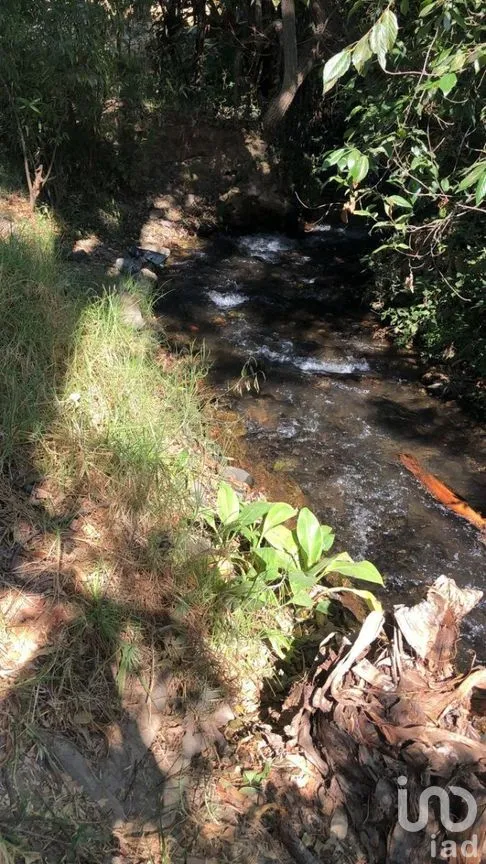 Terreno en Venta en Pipioltepec, Valle de Bravo, Estado De México | NEX-230278 | iad México | Foto 12 de 18