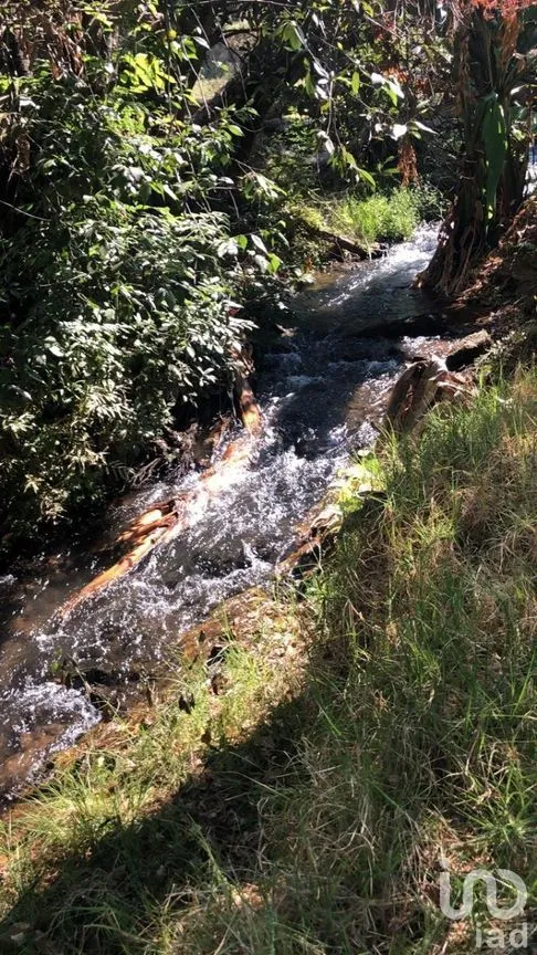 Terreno en Venta en Pipioltepec, Valle de Bravo, Estado De México | NEX-230278 | iad México | Foto 13 de 18