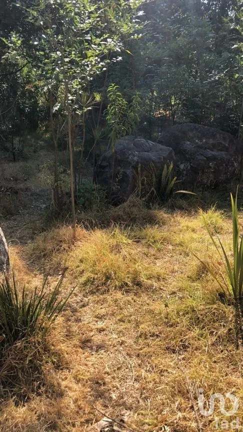 Terreno en Venta en Pipioltepec, Valle de Bravo, Estado De México | NEX-230278 | iad México | Foto 14 de 18