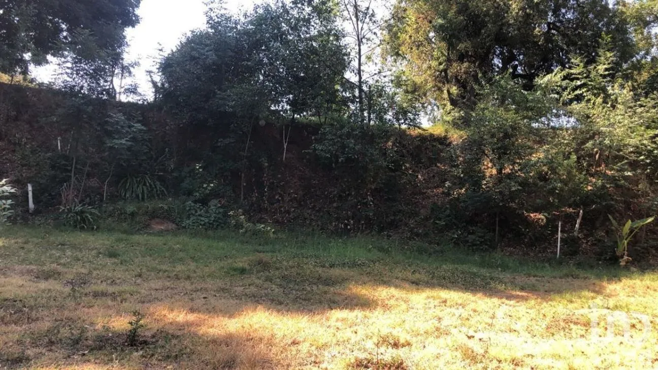 Terreno en Venta en Pipioltepec, Valle de Bravo, Estado De México | NEX-230278 | iad México | Foto 15 de 18