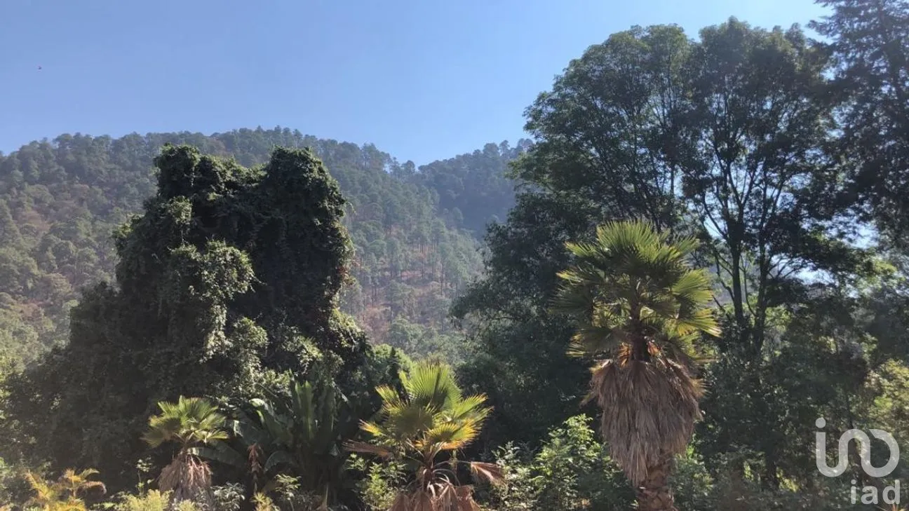 Terreno en Venta en Pipioltepec, Valle de Bravo, Estado De México | NEX-230278 | iad México | Foto 17 de 18