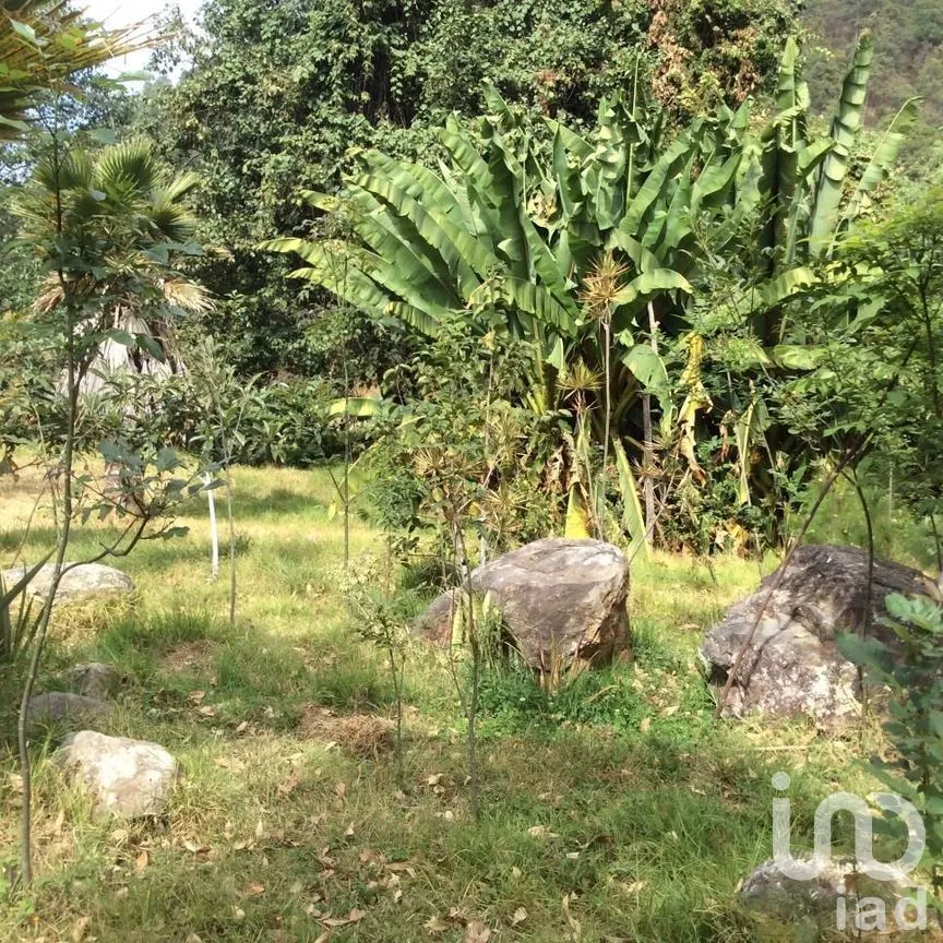 Terreno en Venta en Pipioltepec, Valle de Bravo, Estado De México | NEX-230278 | iad México | Foto 5 de 18