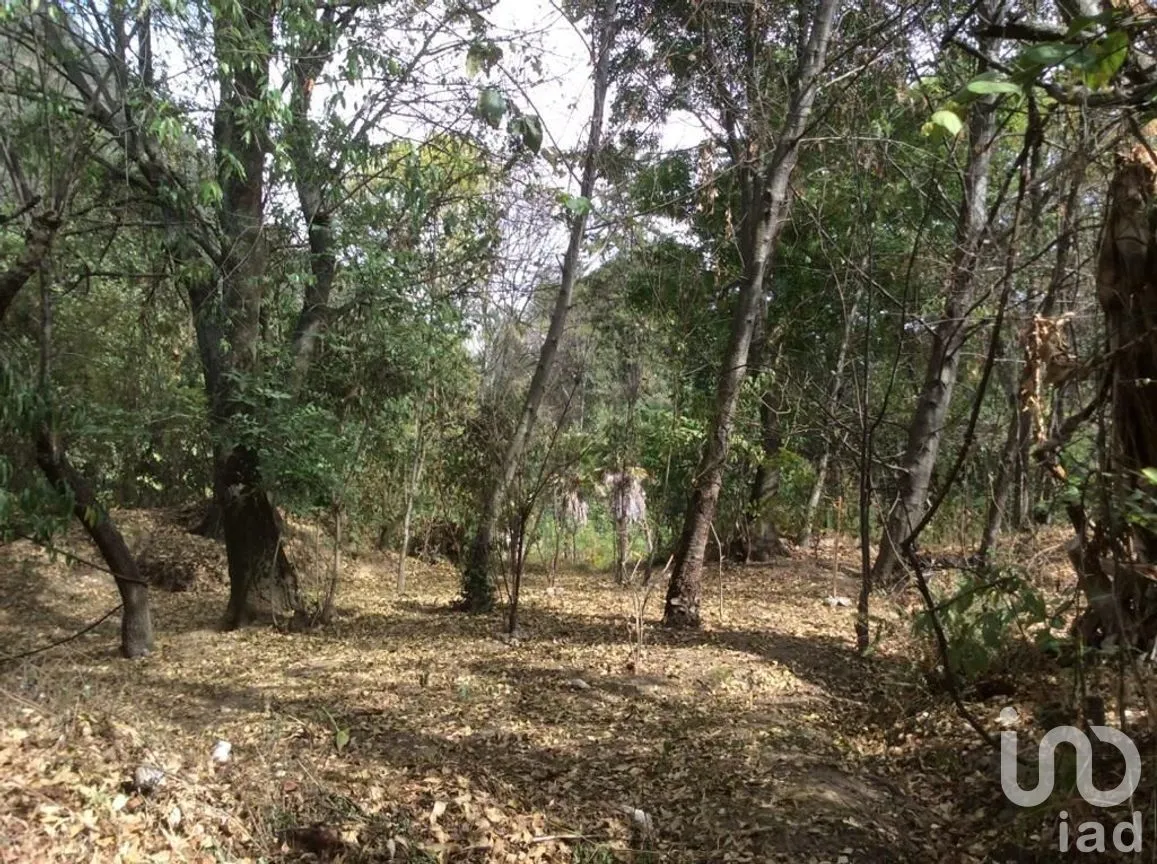 Terreno en Venta en Pipioltepec, Valle de Bravo, Estado De México | NEX-230278 | iad México | Foto 6 de 18