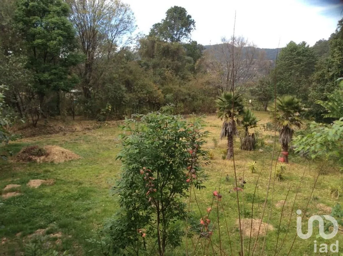 Terreno en Venta en Pipioltepec, Valle de Bravo, Estado De México | NEX-230278 | iad México | Foto 7 de 18