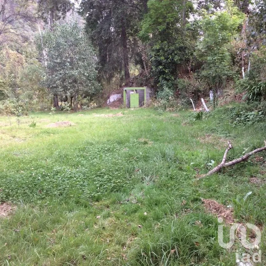 Terreno en Venta en Pipioltepec, Valle de Bravo, Estado De México | NEX-230278 | iad México | Foto 8 de 18