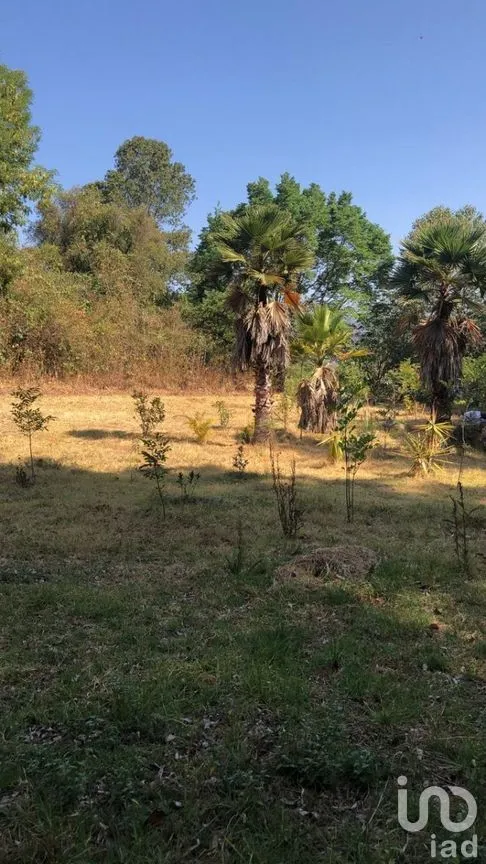 Terreno en Venta en Pipioltepec, Valle de Bravo, Estado De México | NEX-230278 | iad México | Foto 9 de 18
