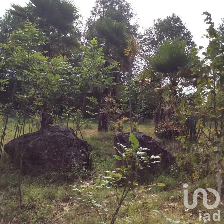 Terreno en Venta en Pipioltepec, Valle de Bravo, Estado De México | NEX-230278 | iad México | Foto 10 de 18