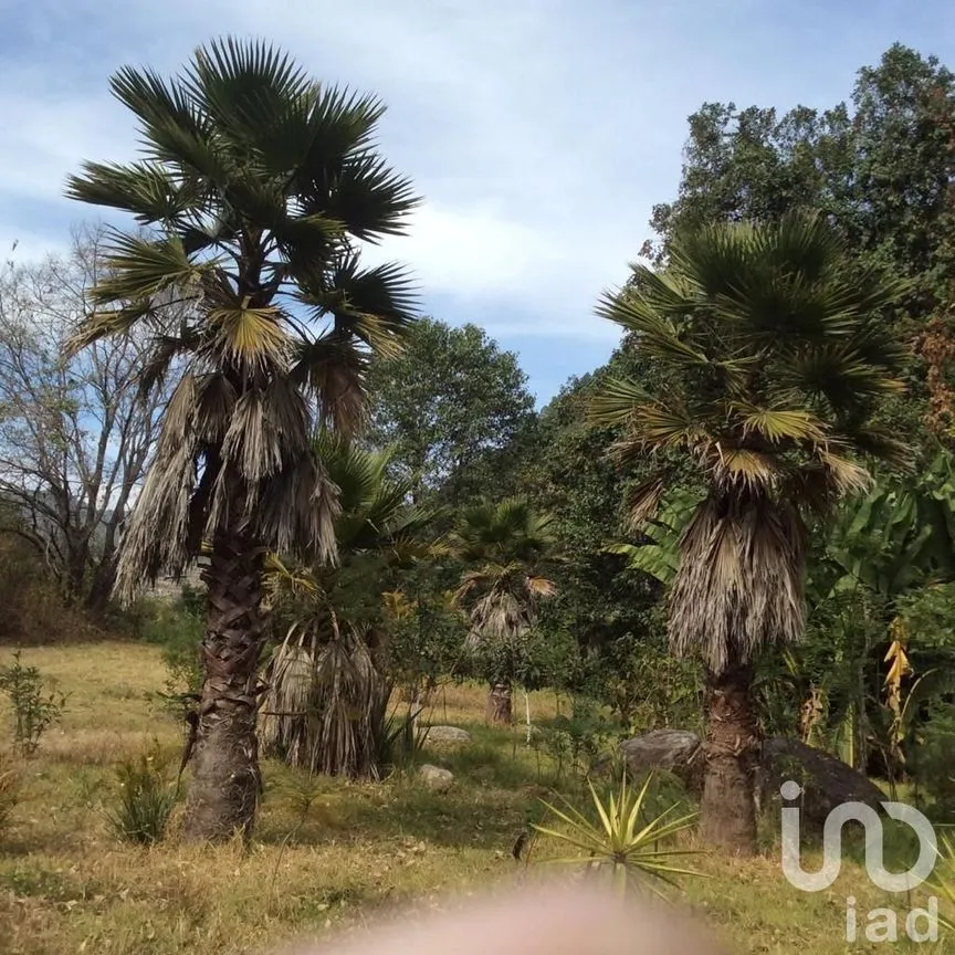 Terreno en Venta en Pipioltepec, Valle de Bravo, Estado De México | NEX-230278 | iad México | Foto 1 de 18