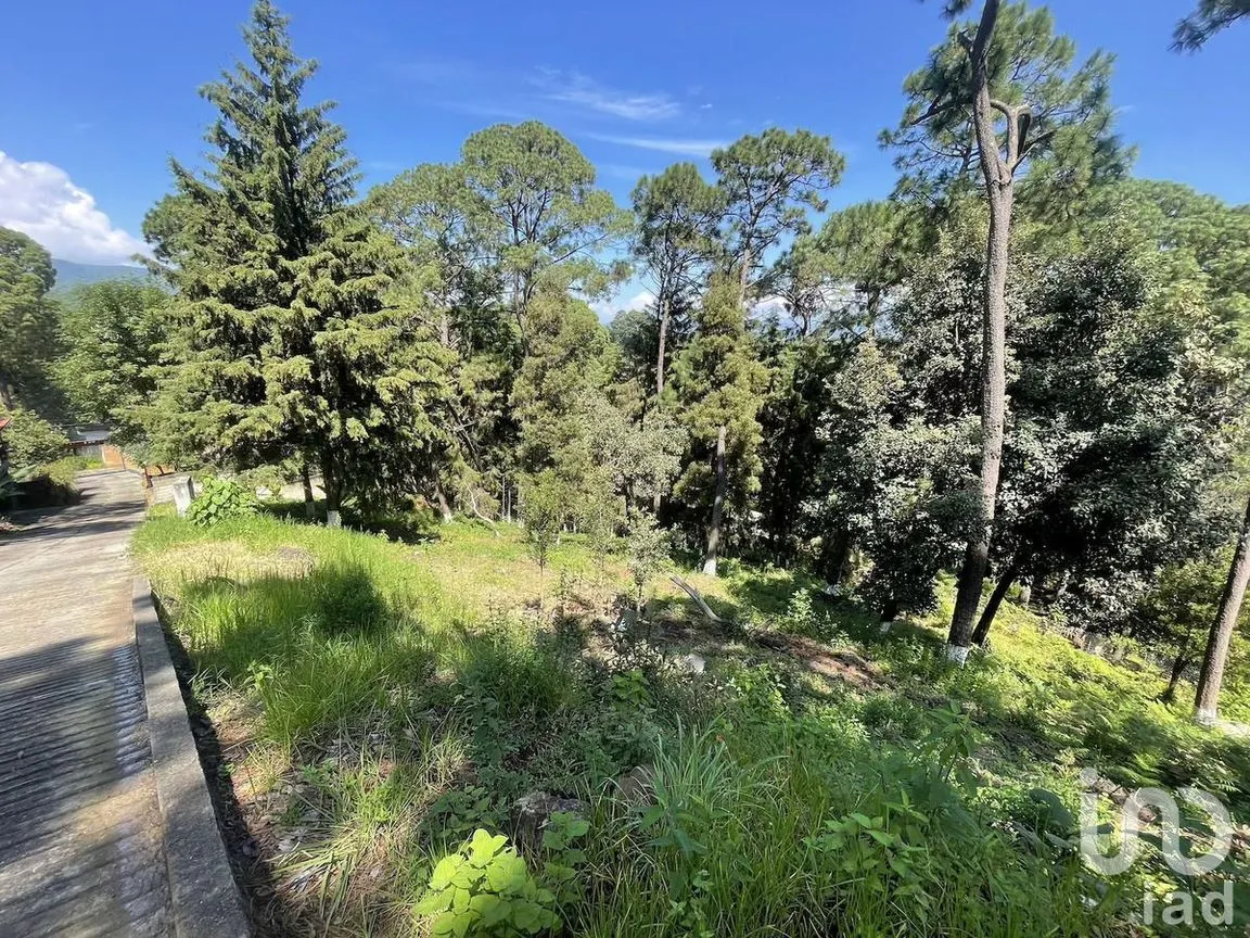 Terreno en Venta en Avándaro, Valle de Bravo, Estado De México | NEX-230623 | iad México | Foto 12 de 12