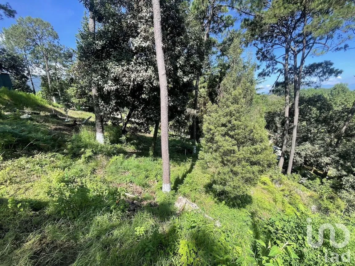 Terreno en Venta en Avándaro, Valle de Bravo, Estado De México | NEX-230623 | iad México | Foto 3 de 12