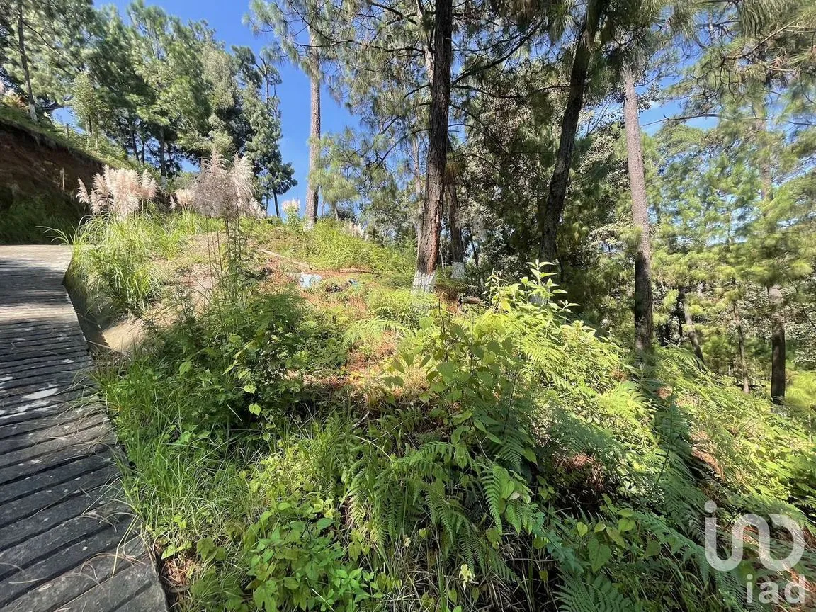 Terreno en Venta en Avándaro, Valle de Bravo, Estado De México | NEX-230623 | iad México | Foto 4 de 12