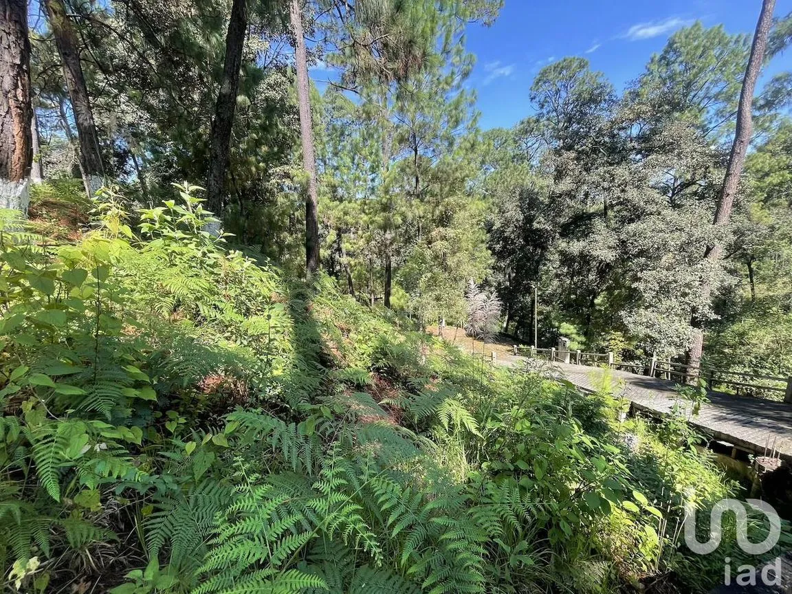Terreno en Venta en Avándaro, Valle de Bravo, Estado De México | NEX-230623 | iad México | Foto 5 de 12