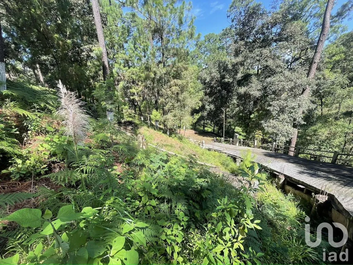 Terreno en Venta en Avándaro, Valle de Bravo, Estado De México | NEX-230623 | iad México | Foto 6 de 12