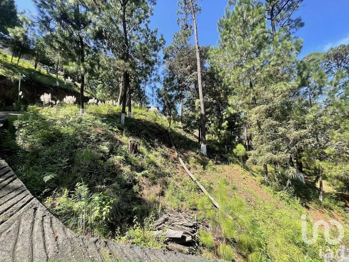 Terreno en Venta en Avándaro, Valle de Bravo, Estado De México | NEX-230623 | iad México | Foto 7 de 12