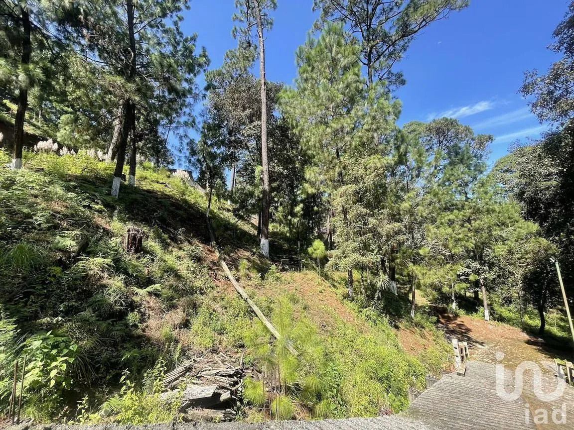 Terreno en Venta en Avándaro, Valle de Bravo, Estado De México | NEX-230623 | iad México | Foto 8 de 12