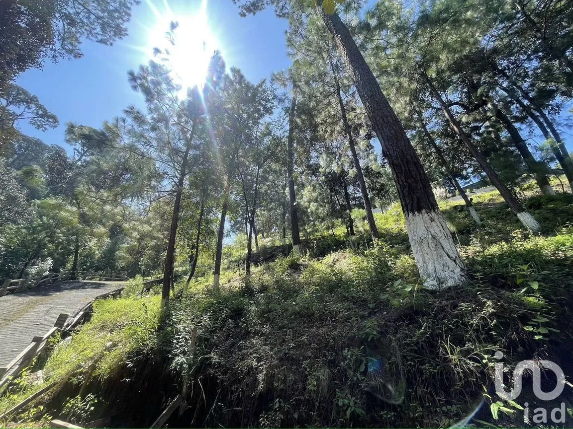 Terreno en Venta en Avándaro, Valle de Bravo, Estado De México | NEX-230623 | iad México | Foto 9 de 12