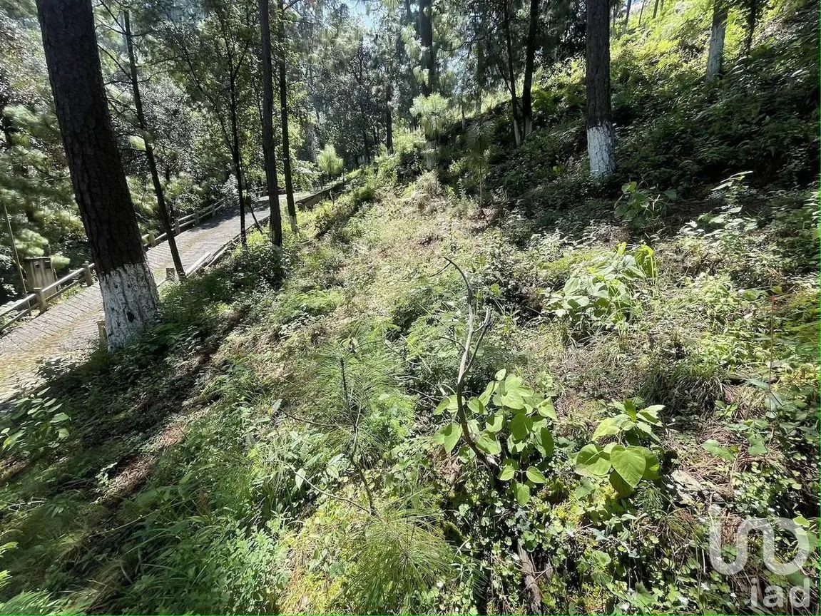 Terreno en Venta en Avándaro, Valle de Bravo, Estado De México | NEX-230623 | iad México | Foto 10 de 12