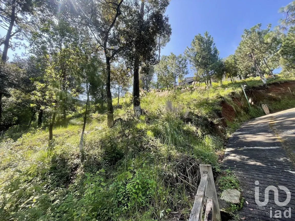 Terreno en Venta en Avándaro, Valle de Bravo, Estado De México | NEX-230624 | iad México | Foto 2 de 10