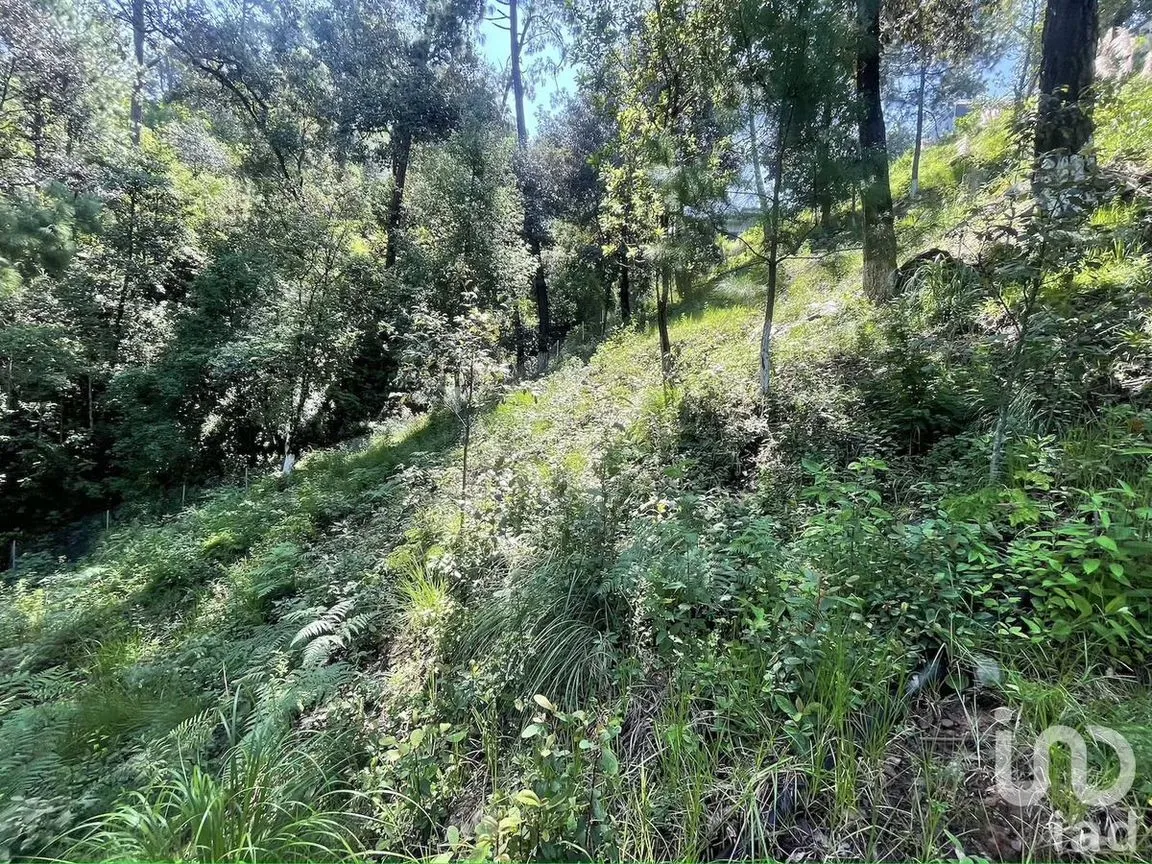 Terreno en Venta en Avándaro, Valle de Bravo, Estado De México | NEX-230624 | iad México | Foto 3 de 10