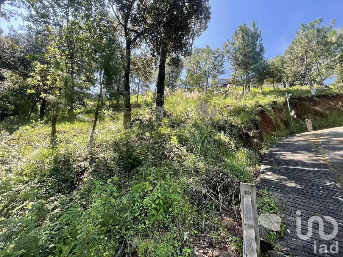 Terreno en Venta en Avándaro, Valle de Bravo, Estado De México | NEX-230624 | iad México | Foto 4 de 10