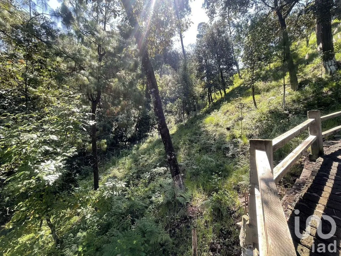 Terreno en Venta en Avándaro, Valle de Bravo, Estado De México | NEX-230624 | iad México | Foto 5 de 10