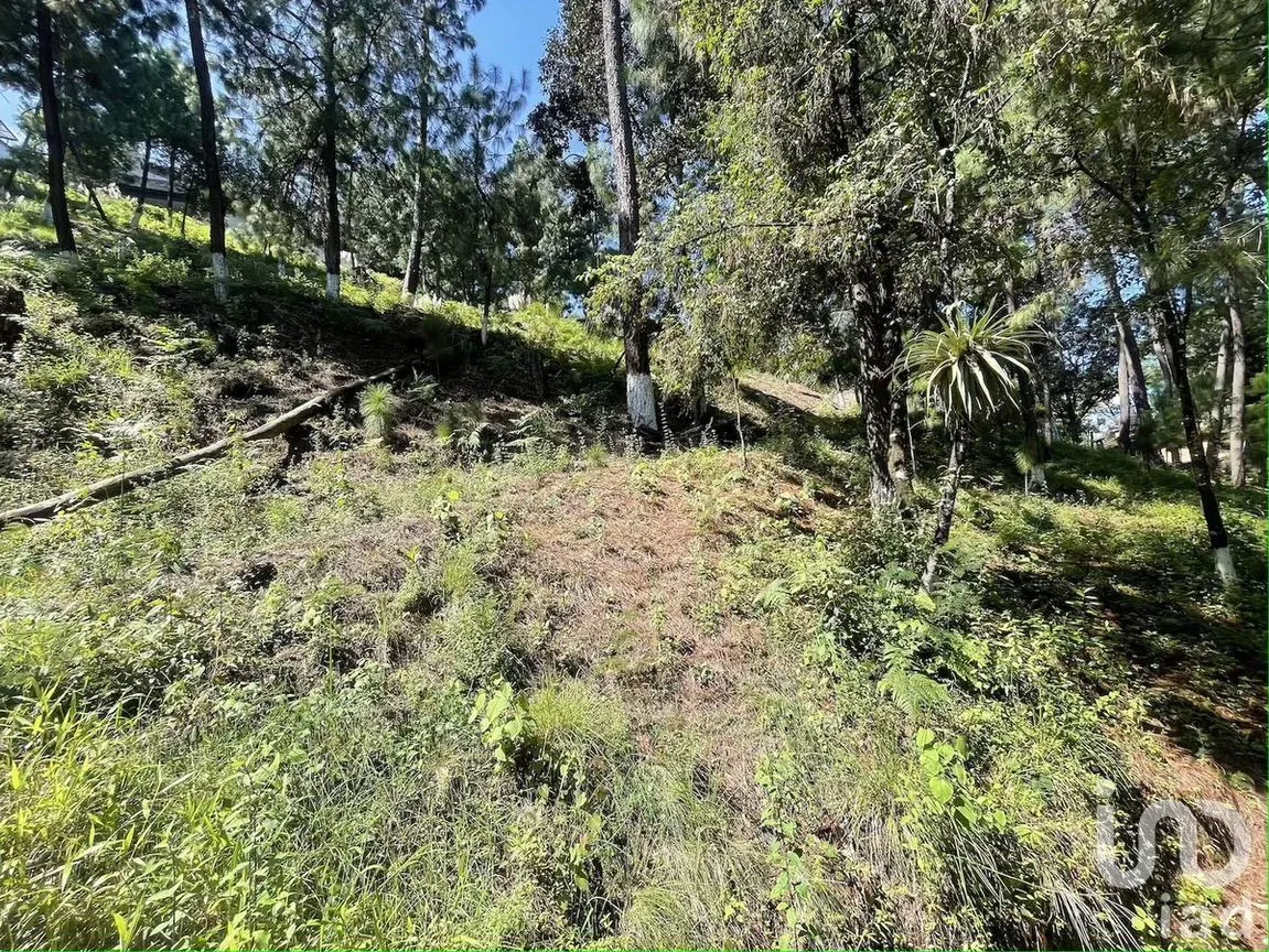 Terreno en Venta en Avándaro, Valle de Bravo, Estado De México | NEX-230624 | iad México | Foto 6 de 10