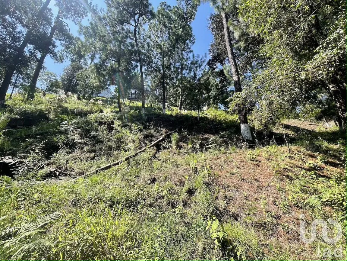 Terreno en Venta en Avándaro, Valle de Bravo, Estado De México | NEX-230624 | iad México | Foto 7 de 10