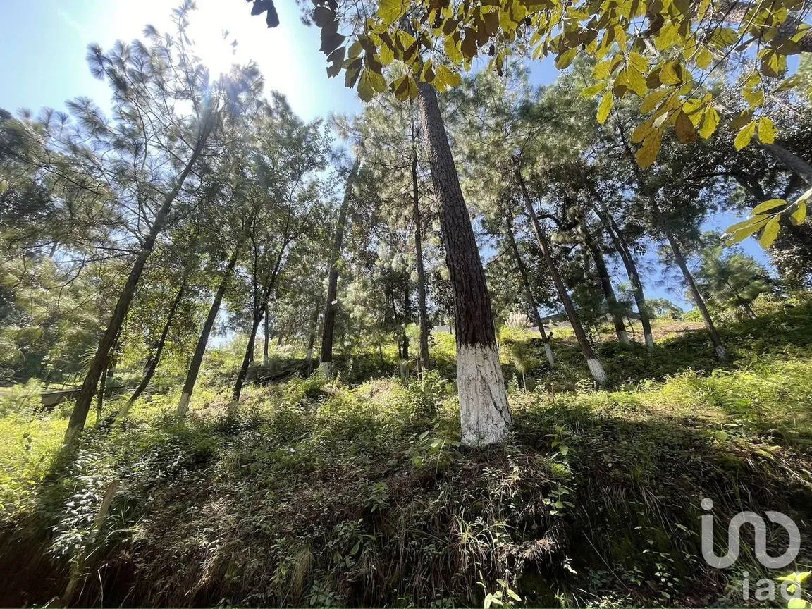 Terreno en Venta en Avándaro, Valle de Bravo, Estado De México | NEX-230624 | iad México | Foto 8 de 10