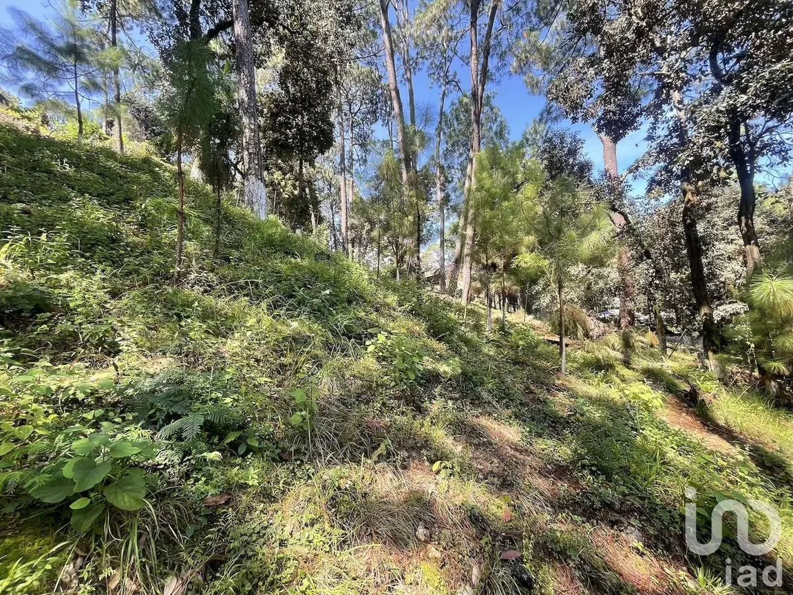 Terreno en Venta en Avándaro, Valle de Bravo, Estado De México | NEX-230624 | iad México | Foto 9 de 10
