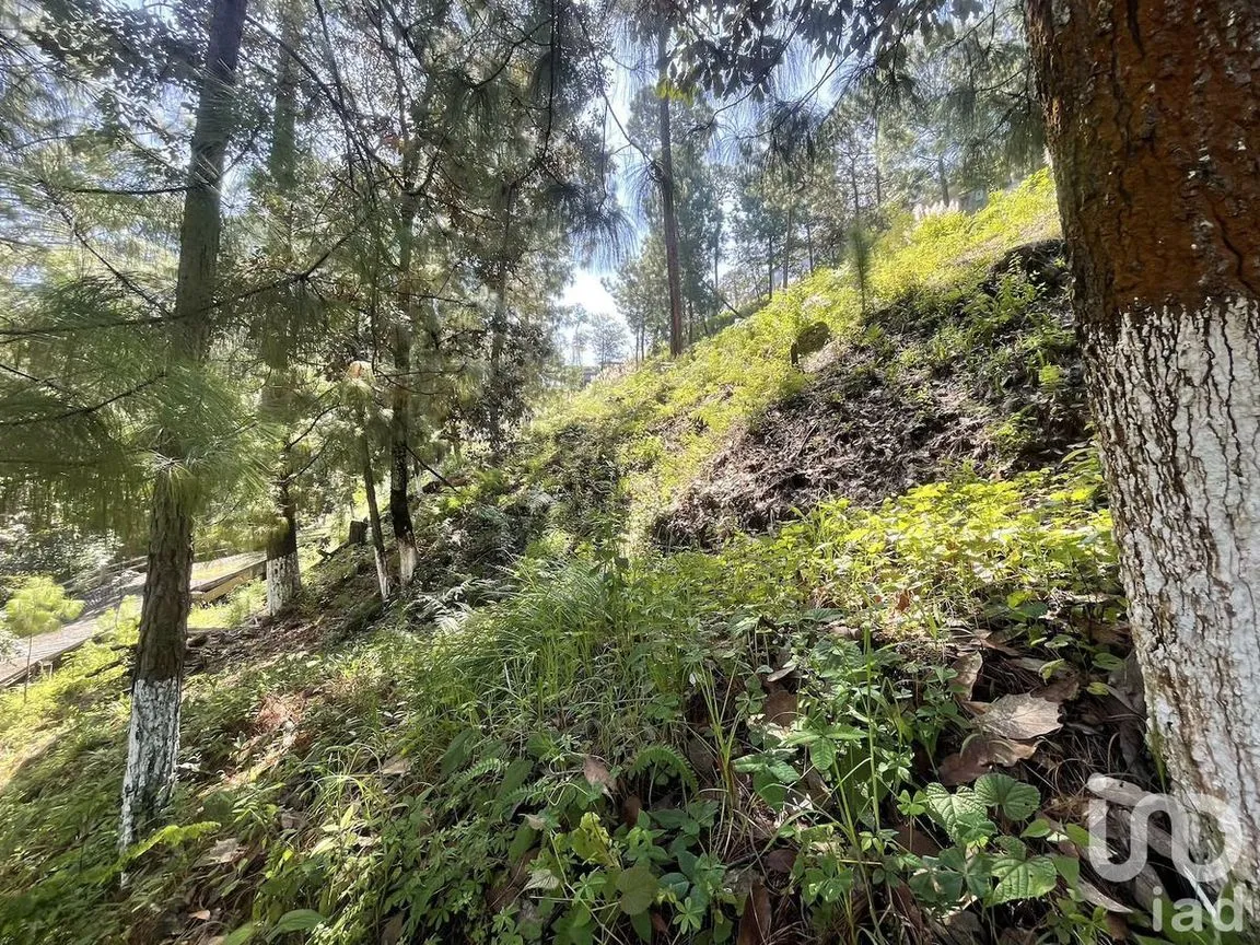 Terreno en Venta en Avándaro, Valle de Bravo, Estado De México | NEX-230624 | iad México | Foto 10 de 10