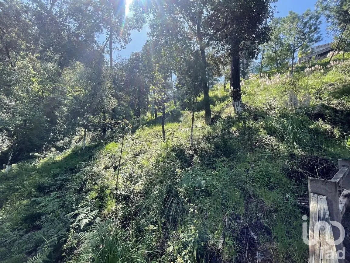 Terreno en Venta en Avándaro, Valle de Bravo, Estado De México | NEX-230624 | iad México | Foto 1 de 10