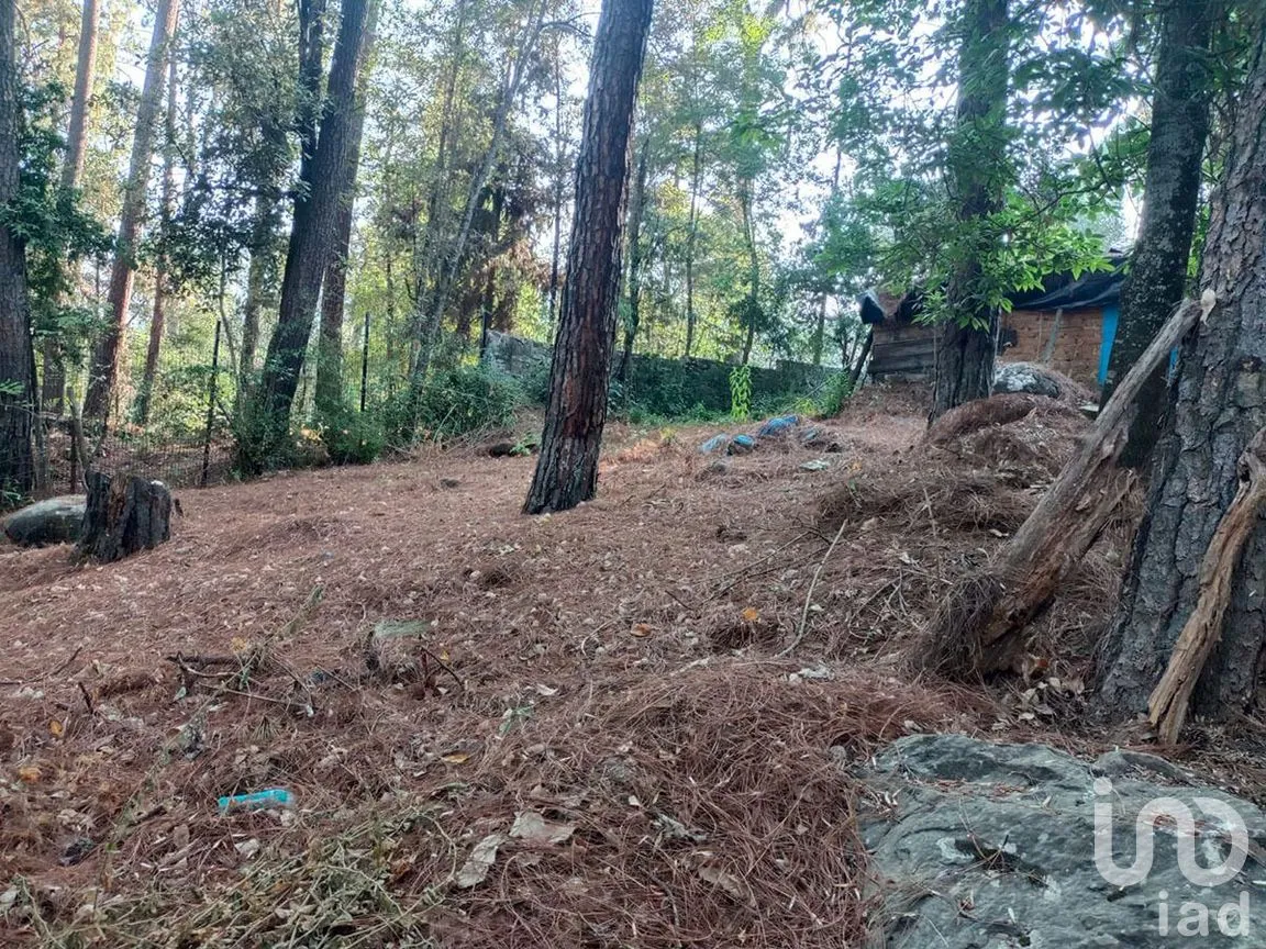 Terreno en Venta en Avándaro, Valle de Bravo, Estado De México | NEX-231054 | iad México | Foto 2 de 8
