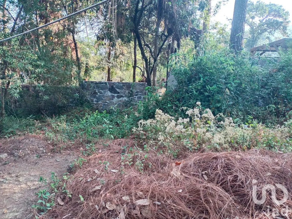 Terreno en Venta en Avándaro, Valle de Bravo, Estado De México | NEX-231054 | iad México | Foto 4 de 8